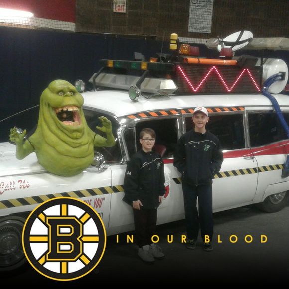 Meet your Posher, Maverick - Picture 1 of 1